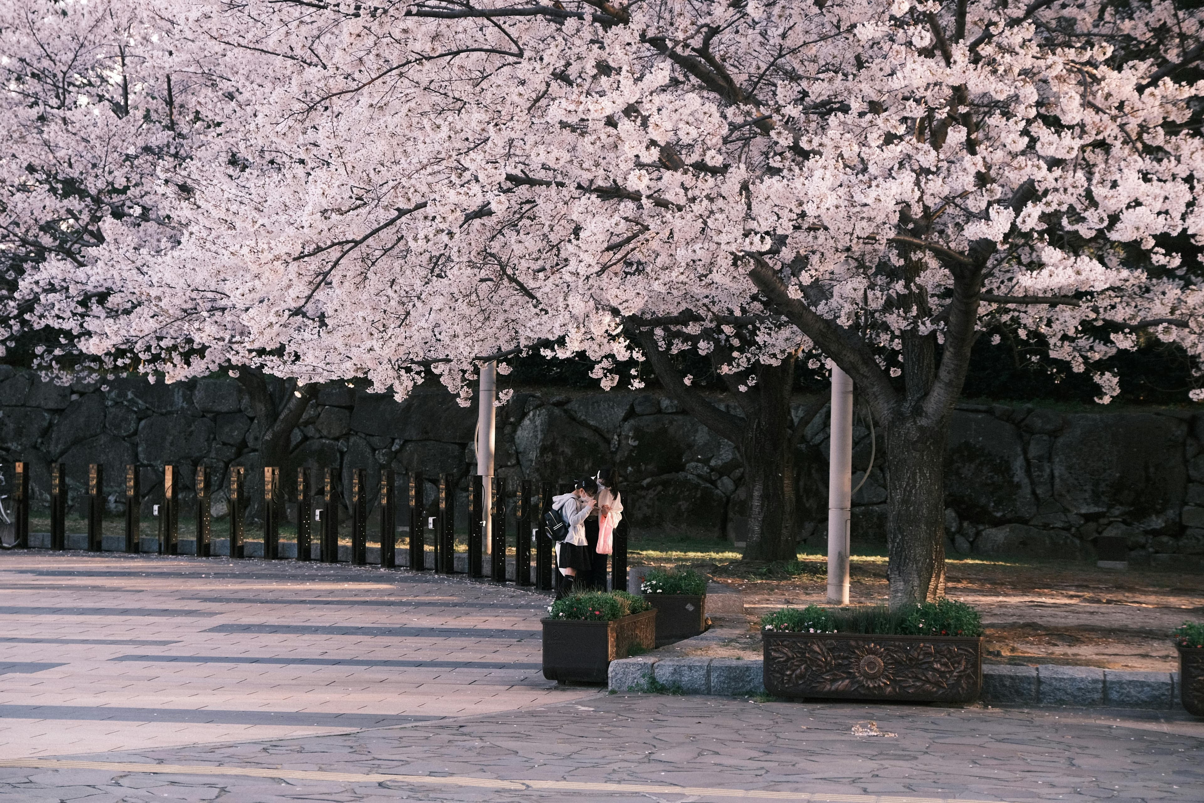 Bờ biển hoang sơ Việt Nam